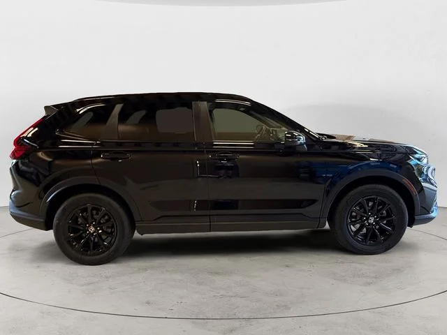 New 2026 Black Honda Sport image 7