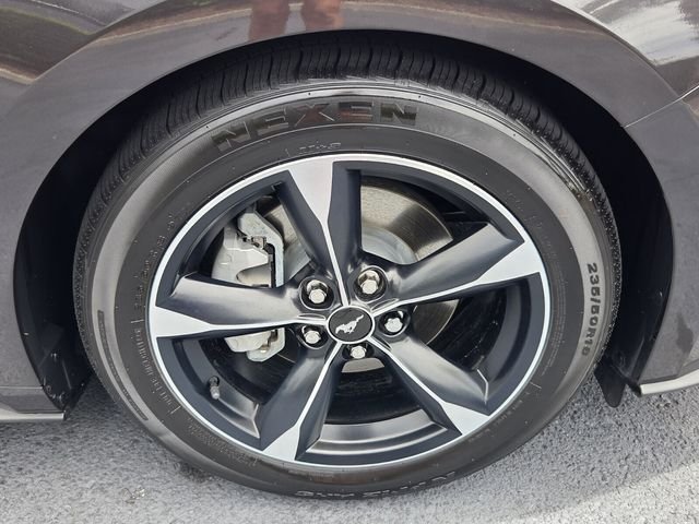 Used 2022 Gray Ford EcoBoost image 8