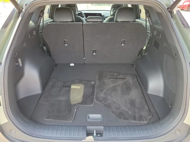 Used 2024 Green Kia X-Pro image 9