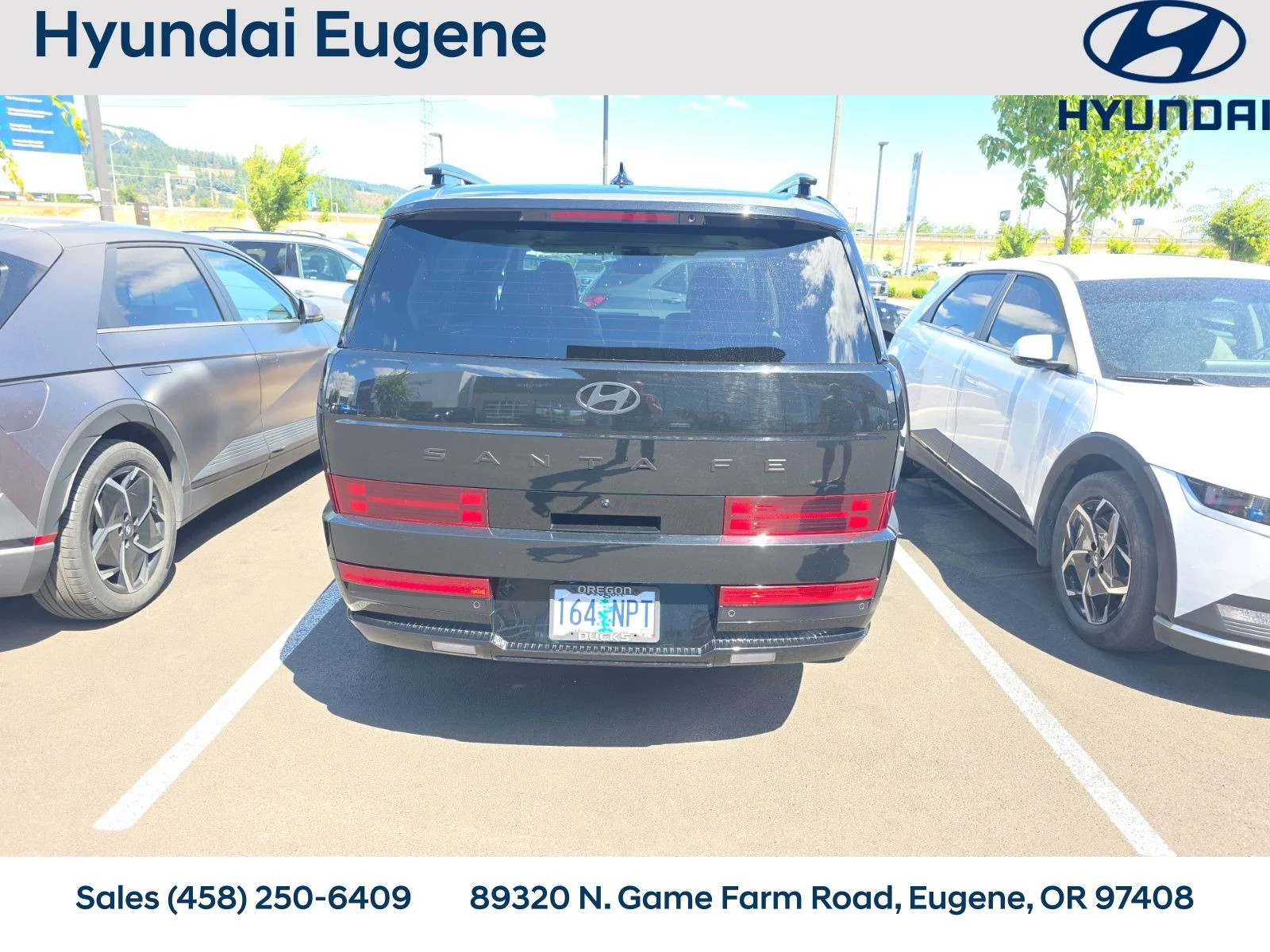Used 2024 Black Hyundai Calligraphy image 17
