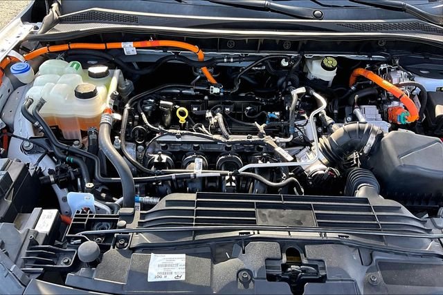 Used 2023 White Ford Active image 7