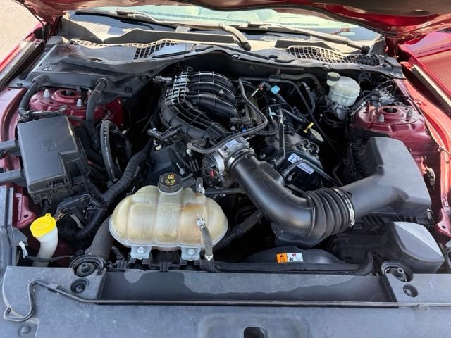 Used 2017 Red Ford V6 image 11