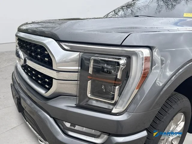 Used 2021 Gray Ford Platinum image 21