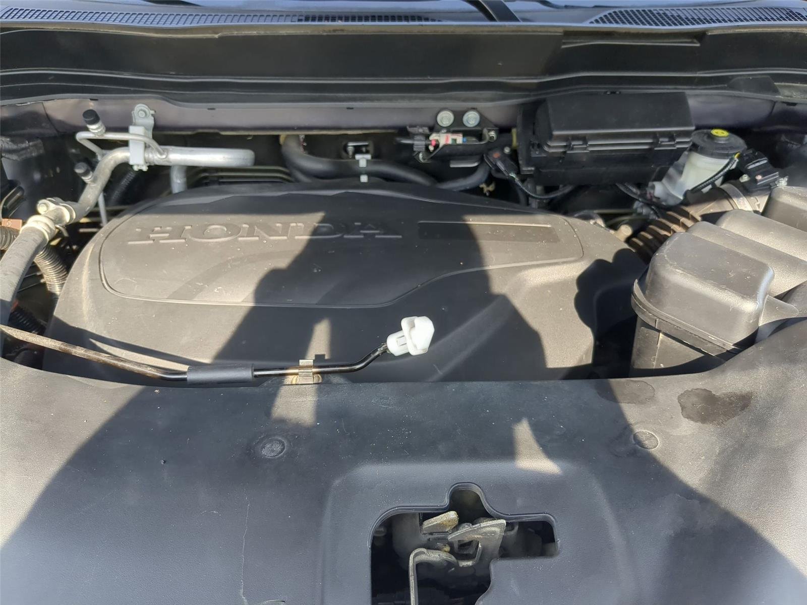 Used 2022  Honda EX-L image 36