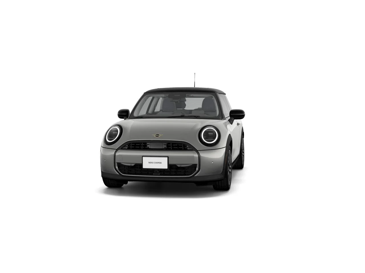 New 2026 Melting Silver III Metallic MINI Signature Plus image 3