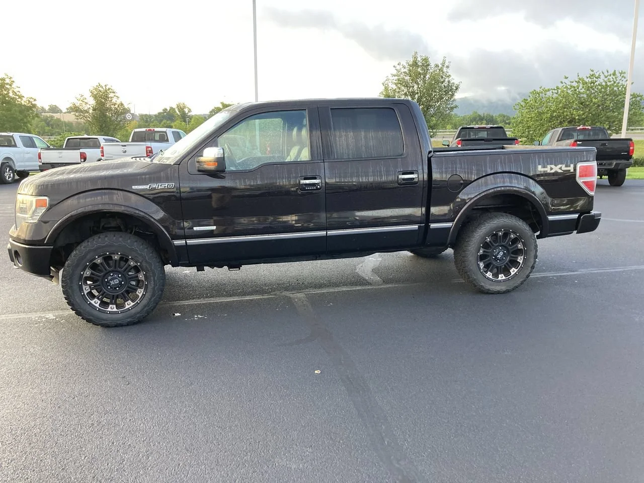 Used 2013 KODIAK BROWN META Ford XL image 4