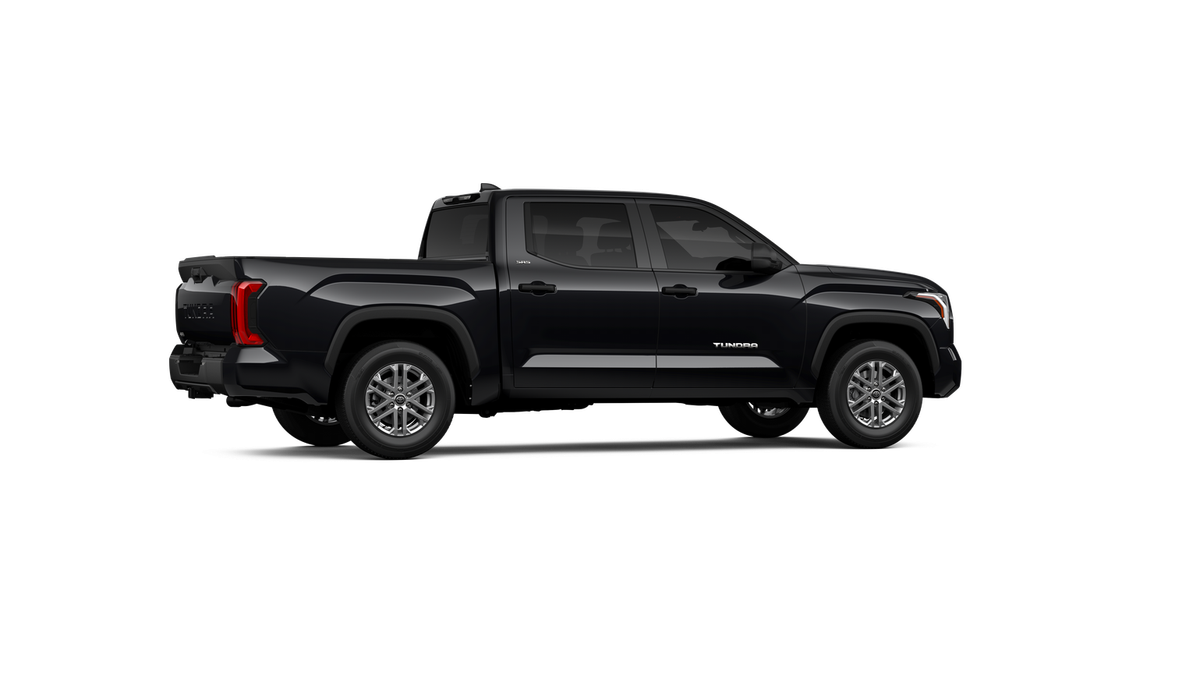 2025 Toyota Tundra SR5 - Photo 43