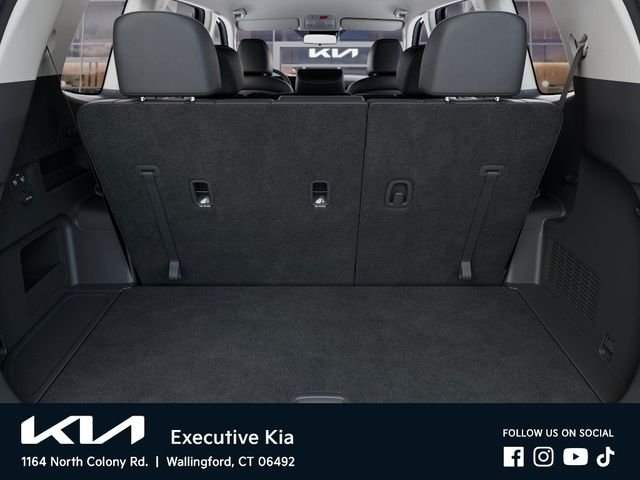 New 2025 Panthera Metal Kia LX image 19