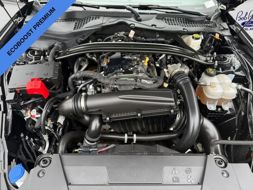 Used 2025 Shadow Black Ford EcoBoost Premium image 18