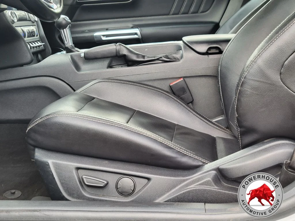 Used 2023 Silver Ford EcoBoost Premium image 20