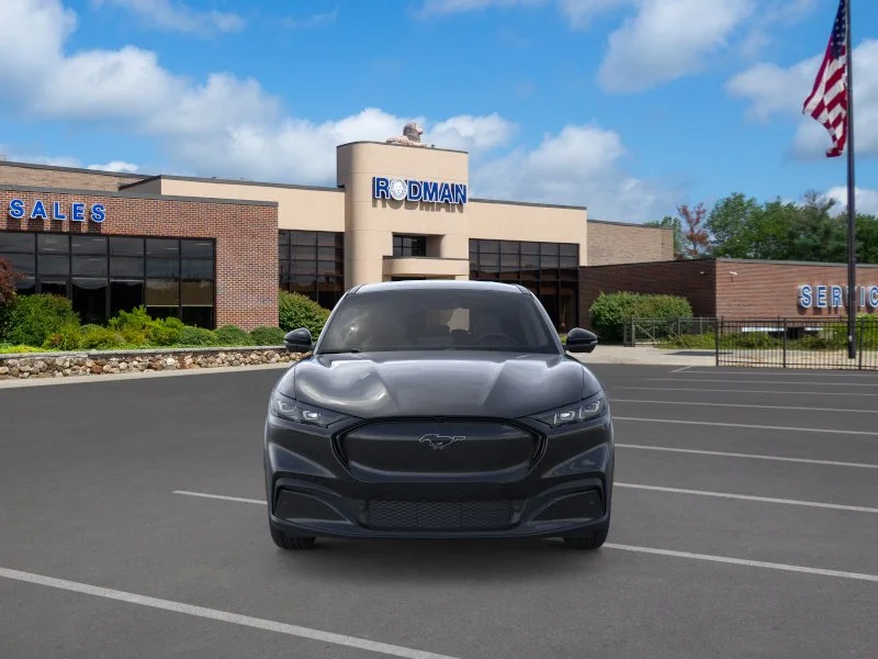 New 2026 Shadow Black Ford Premium image 35