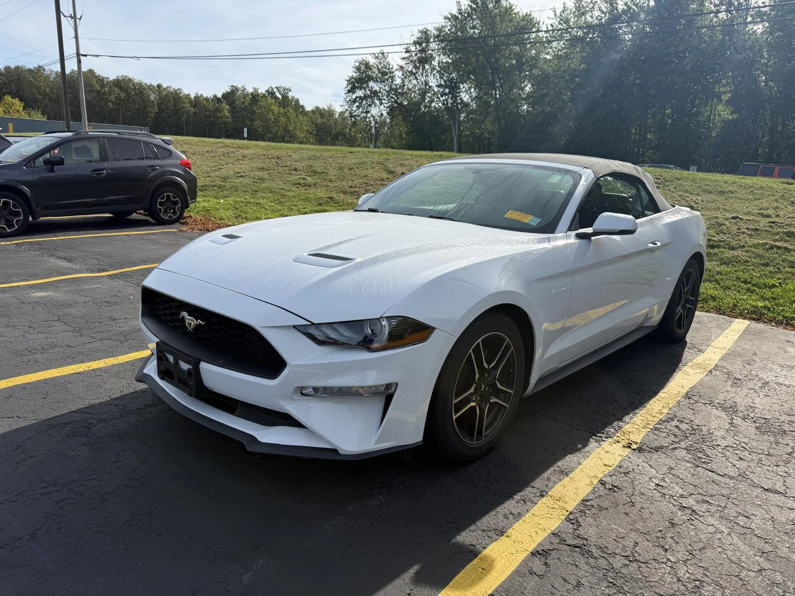 Used 2019 Oxford White Ford EcoBoost Premium image 2