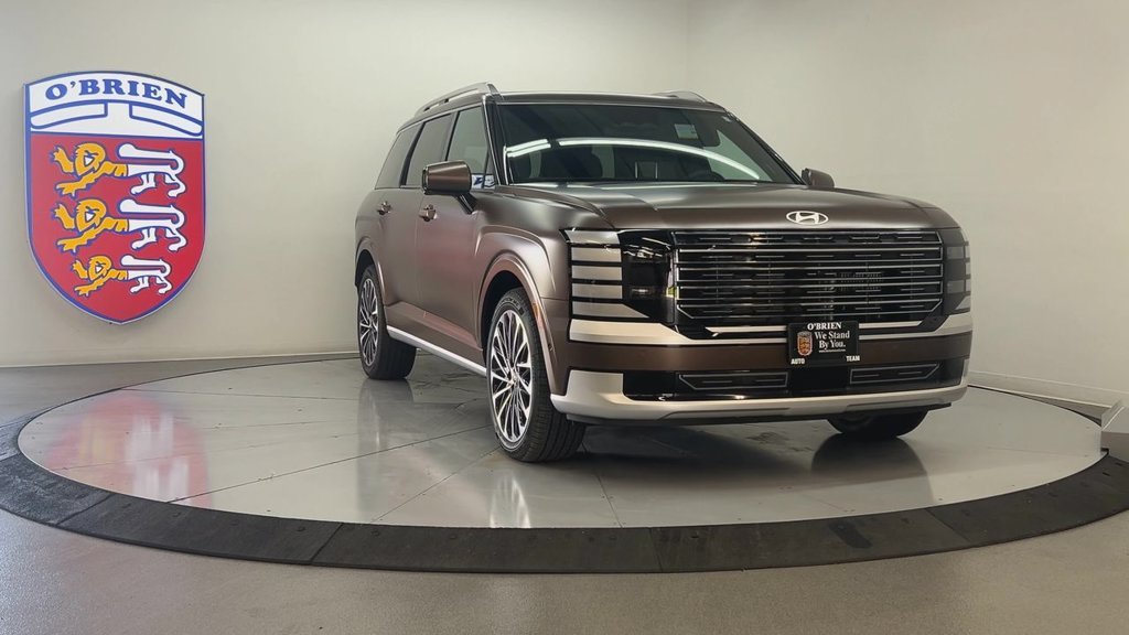 New 2026 Earthy Brass Matte Hyundai Calligraphy image 9