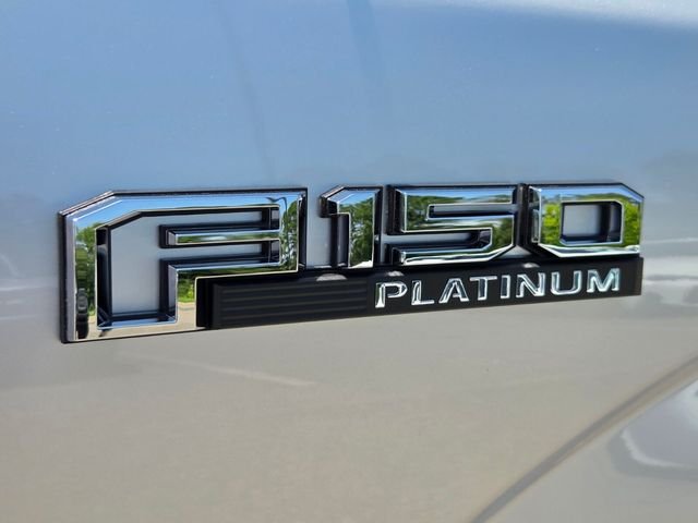 Used 2019 Silver Ford Platinum image 28