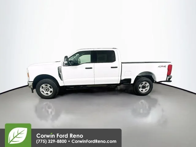 New 2026 Oxford White Ford XLT image 4