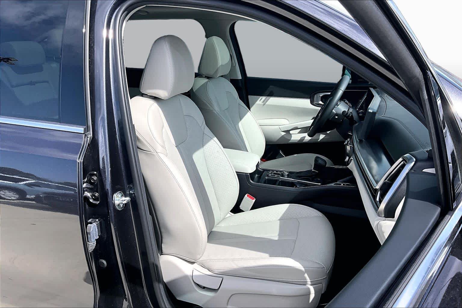 Used 2025 Panthera Metal Kia S image 9