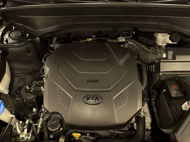 Used 2020 Ebony Black Kia SX image 12