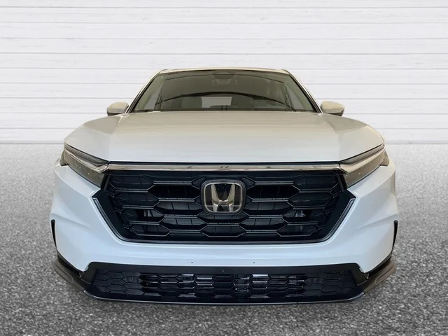 New 2026 Platinum White Pearl Honda LX image 10