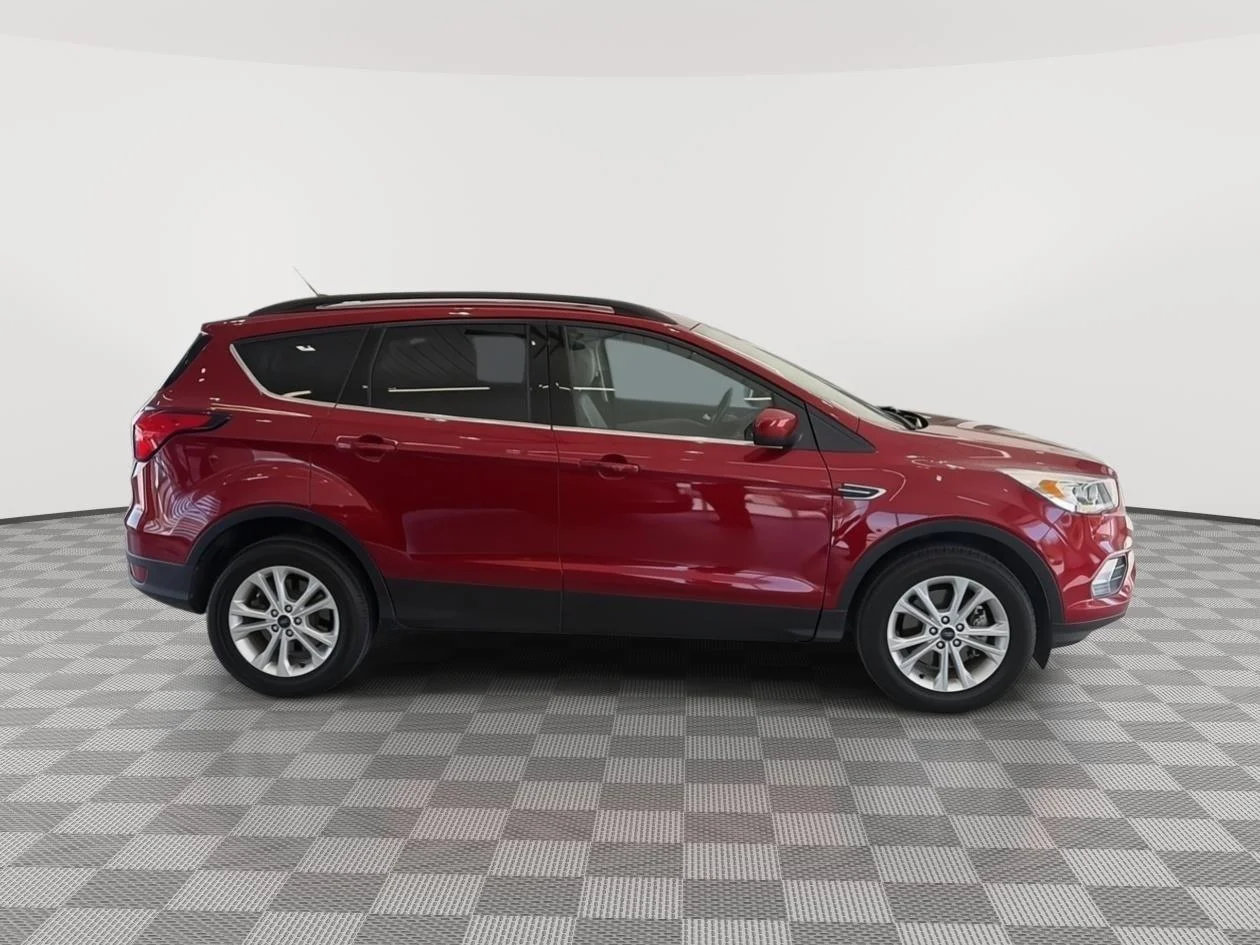 2019 Ford Escape SEL 4WD's photo