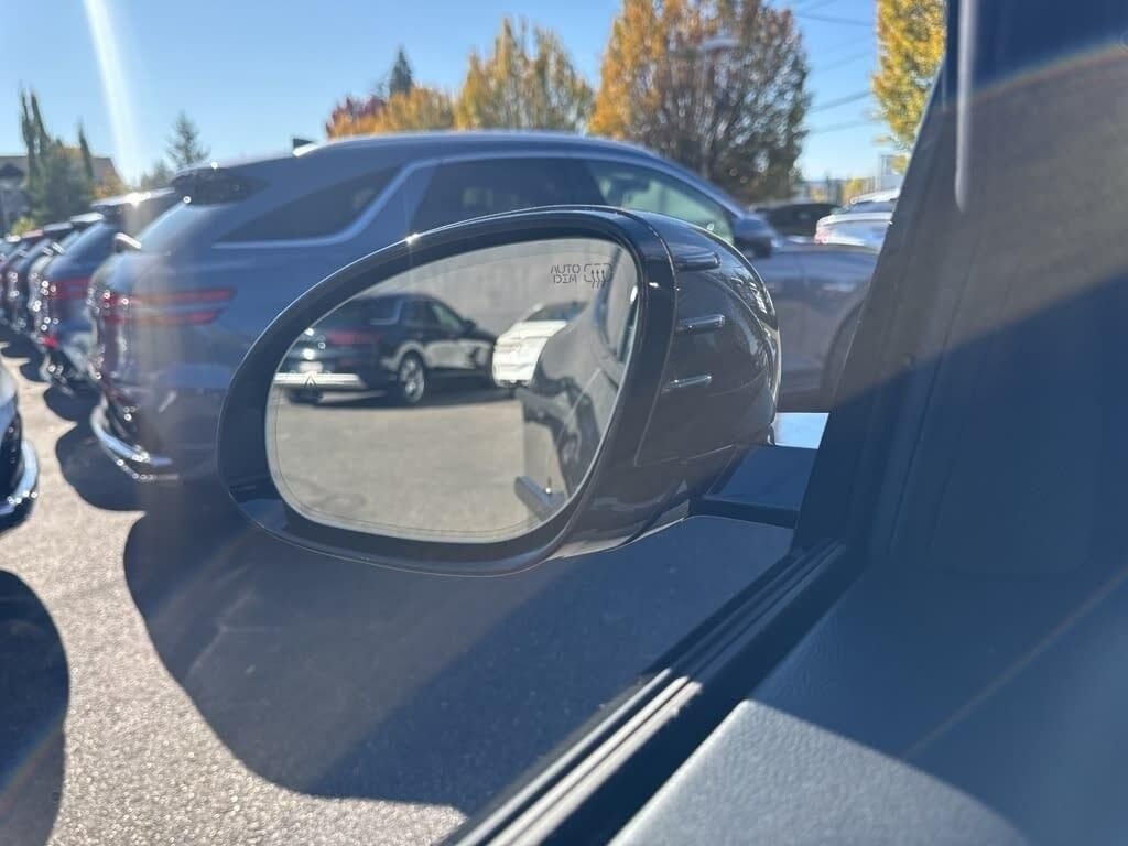 New 2026 Gray Genesis STANDARD image 35