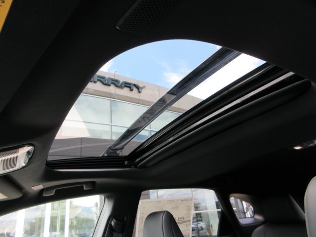New 2026 Iridium Lexus PREMIUM image 24