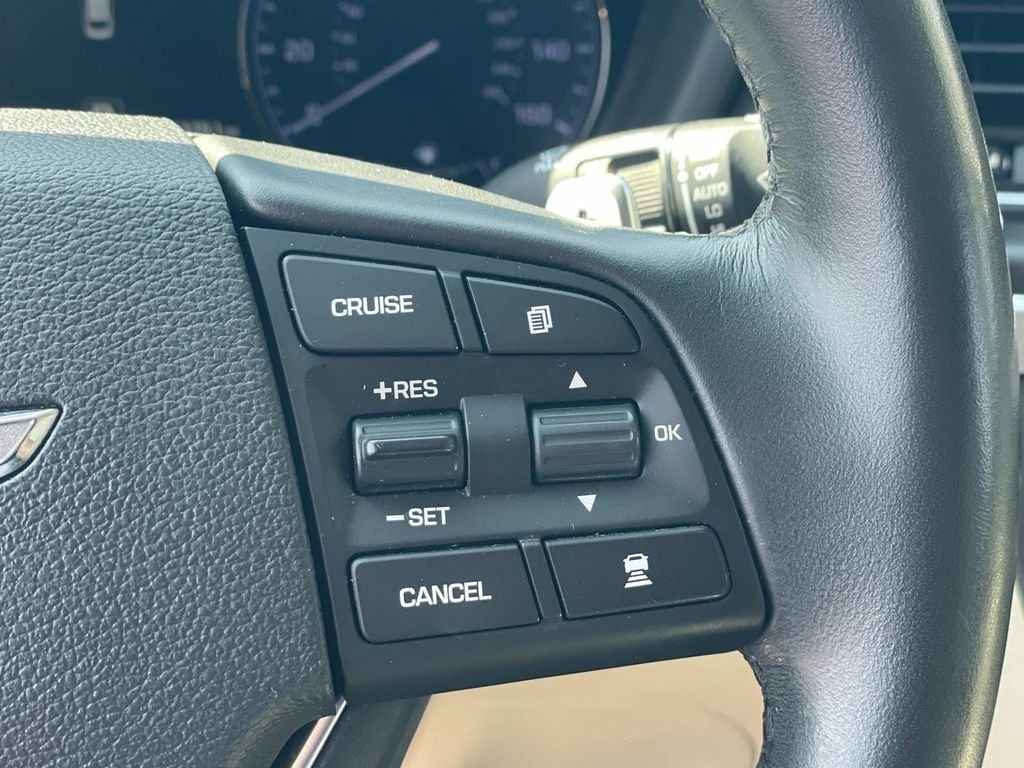 Used 2017 Blue Genesis 3.8 image 9