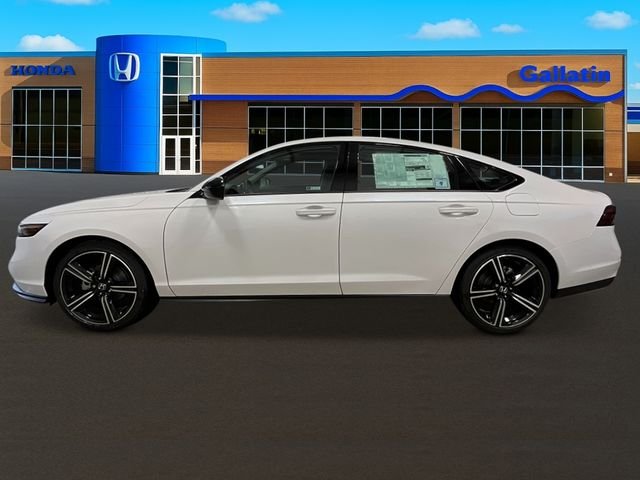 New 2026 Platinum White Pearl Honda SE image 2