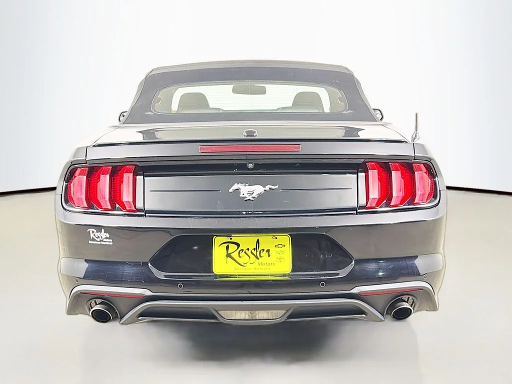 Used 2019 Black Ford EcoBoost Premium image 7