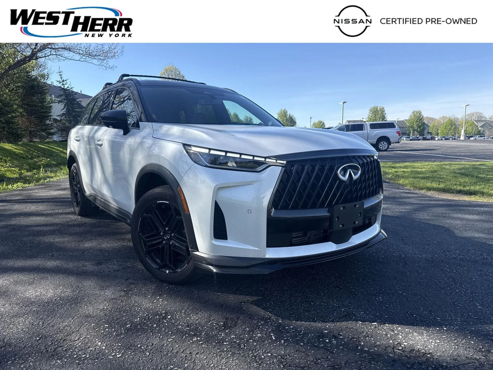 2026 INFINITI QX60 LUXE AWD's photo