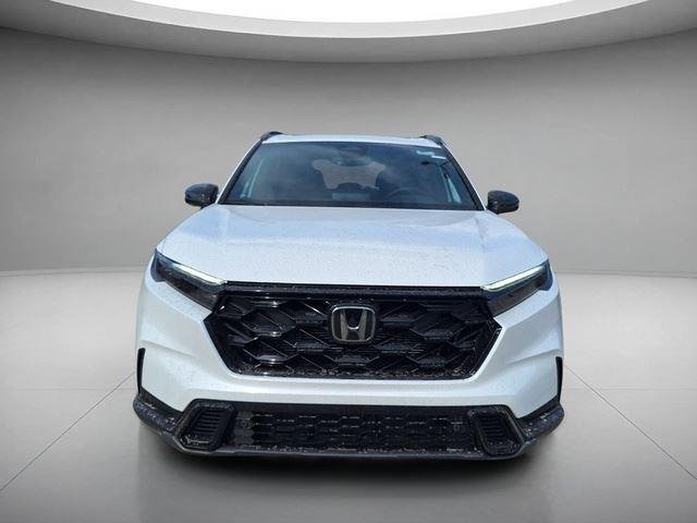 New 2026 Platinum White Pearl Honda Sport-L image 8
