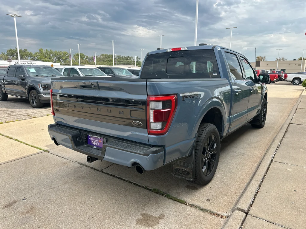Used 2023 BLUE Ford Platinum image 11
