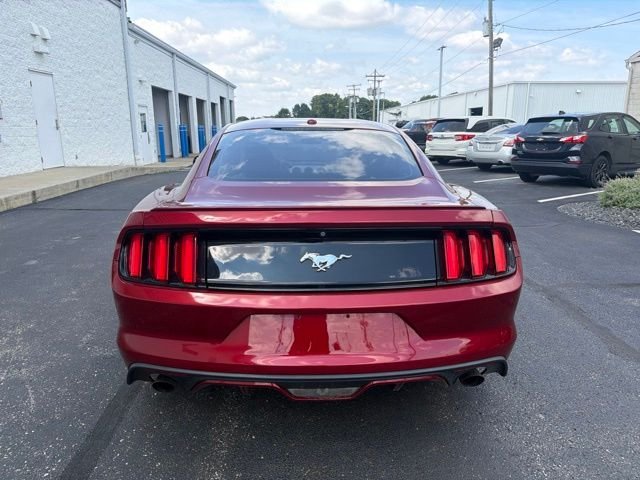 Used 2017 Red Ford EcoBoost Premium image 3