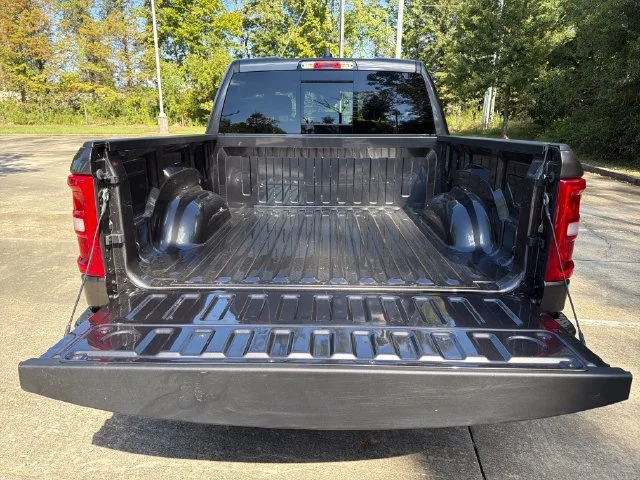 New 2027 Granite Crystal Metallic Clear-Coat Exterior Paint RAM Laramie image 12