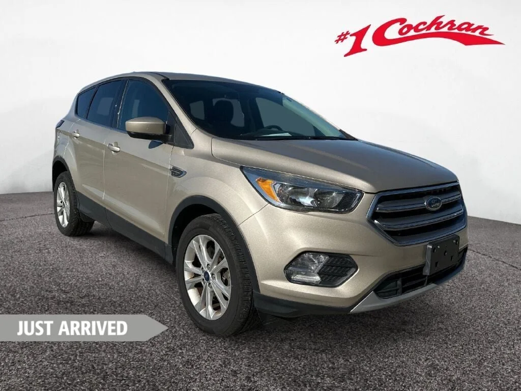 2017 Ford Escape SE's photo