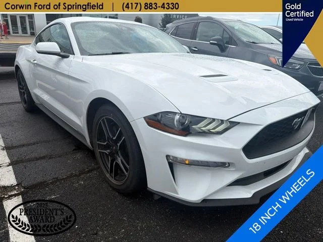 Used 2023 Oxford White Ford EcoBoost image 4