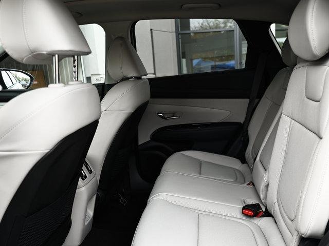 New 2026 Creamy White Pearl Hyundai Limited image 9