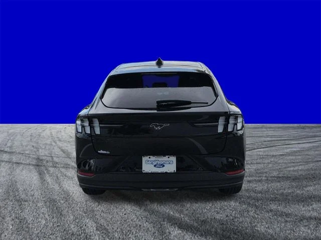 New 2026 Shadow Black Ford Premium image 5