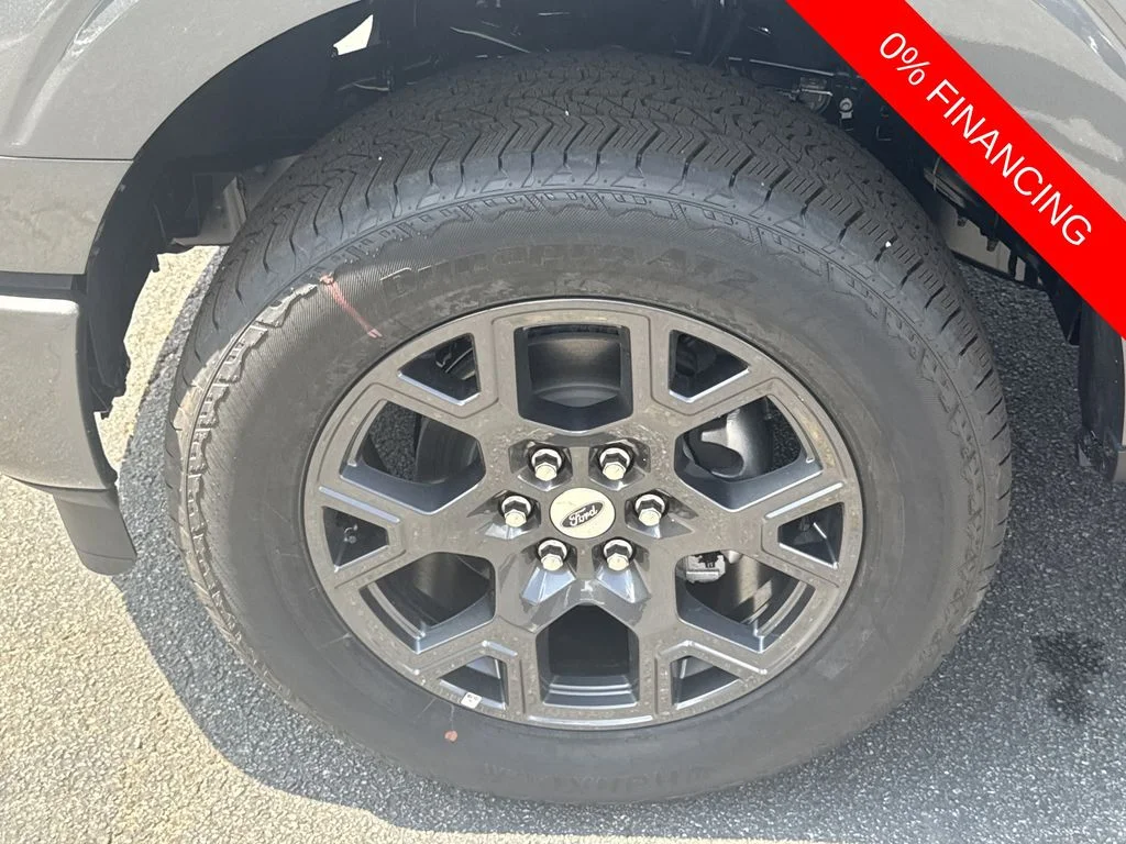 New 2026 Gray Ford STX image 11