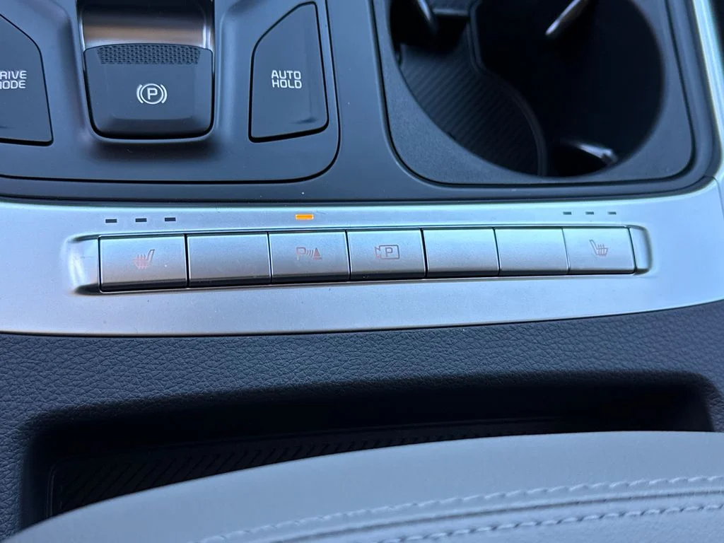 New 2026 Black Kia LXS image 26
