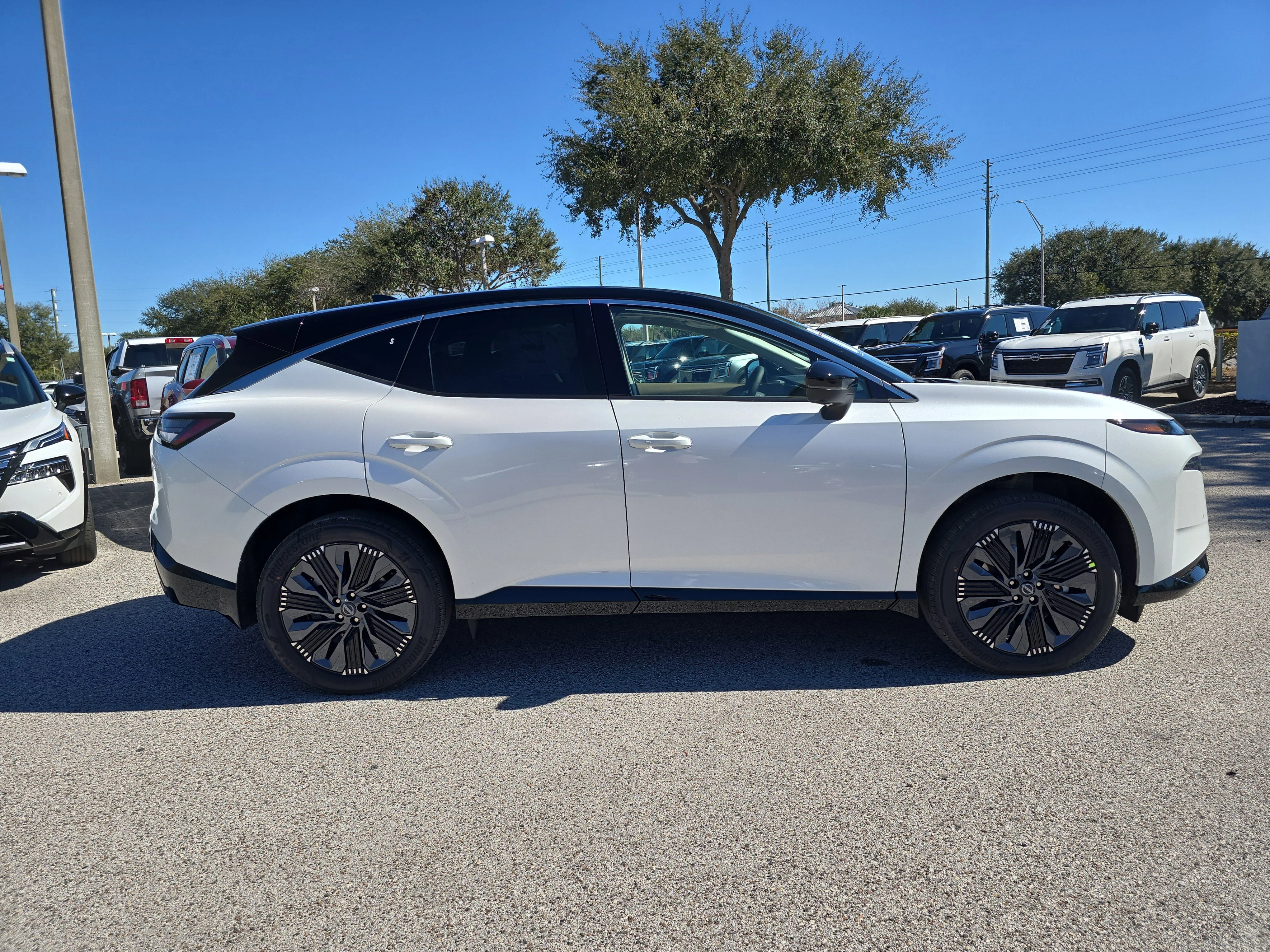 New 2026 Everest White Pearl TriCoat / Super Black Two-tone Nissan Platinum image 9