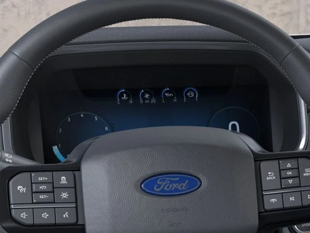 New 2026 Silver Ford Platinum image 13