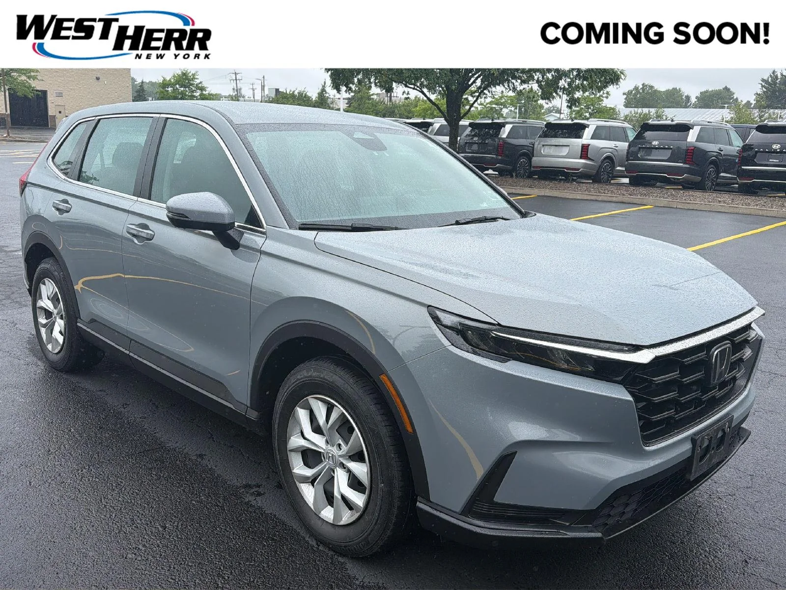 Used 2024 Urban Gray Pearl Honda LX image 1