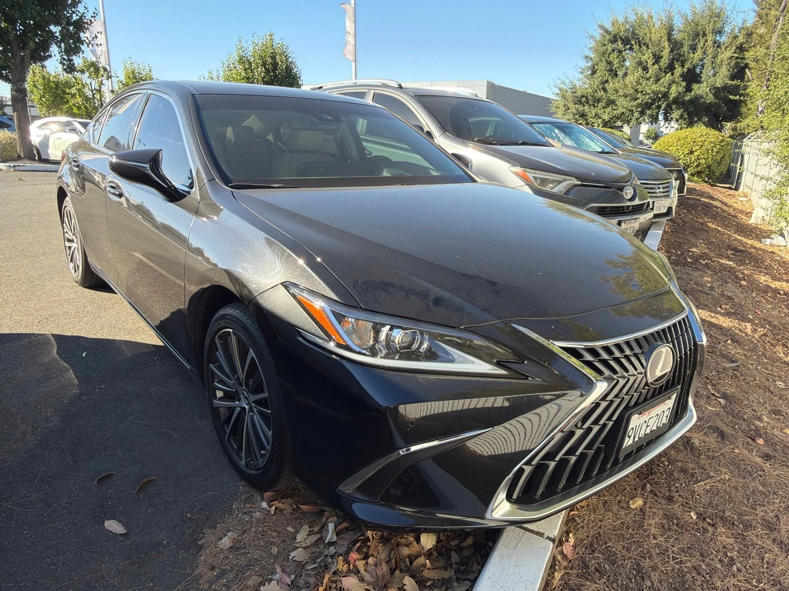 Used 2025 Caviar Lexus 300h image 1