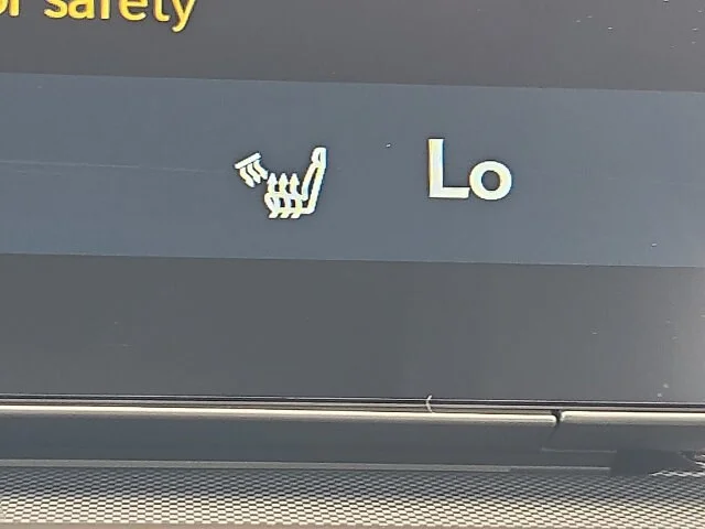 New 2026 Iridium Lexus PREMIUM image 19