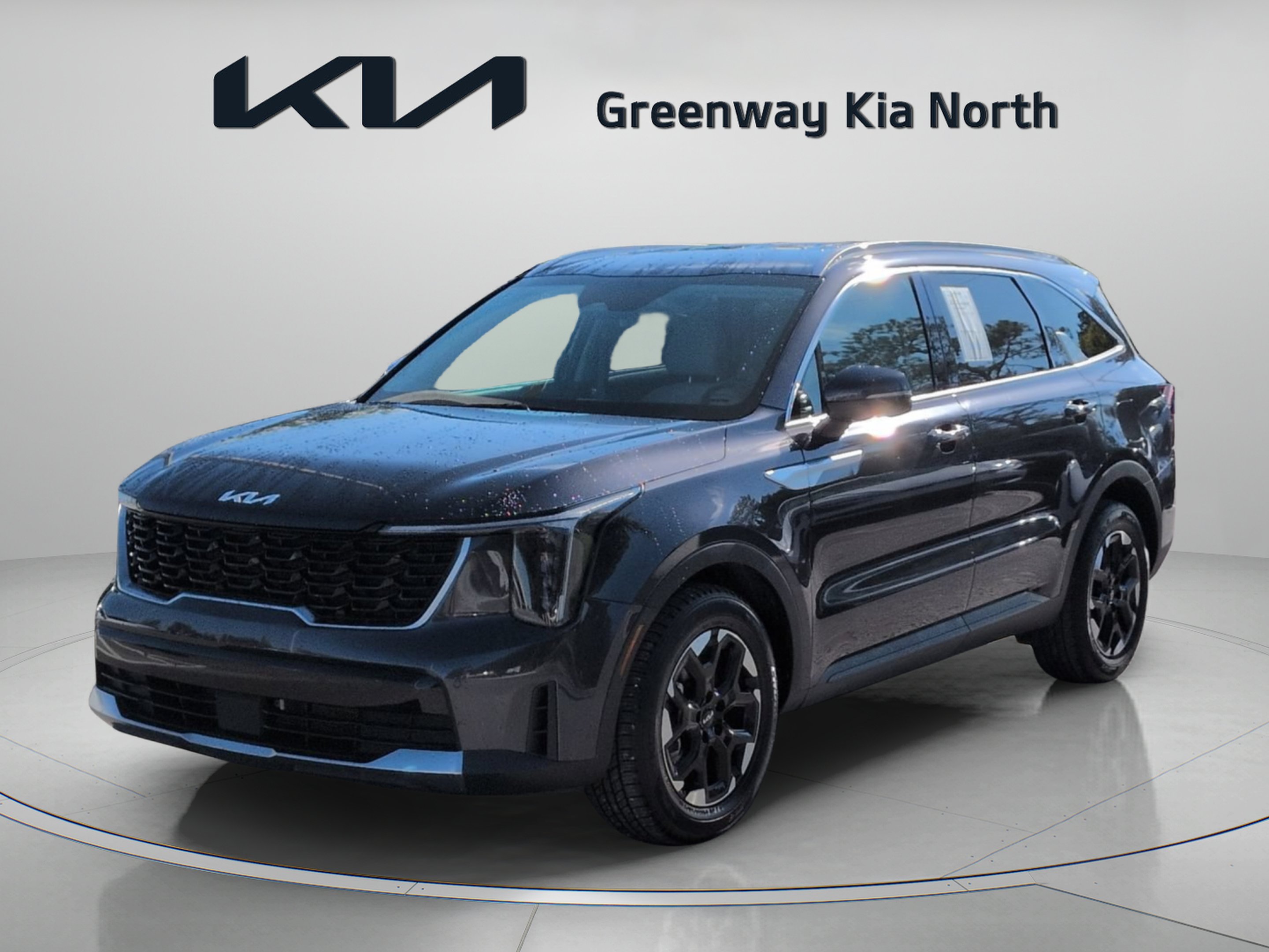 Used 2025 Panthera Metal Kia S image 4