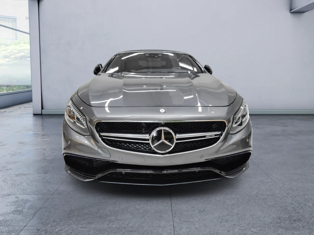 Used 2017 Gray Mercedes-Benz S 65 AMG® image 9