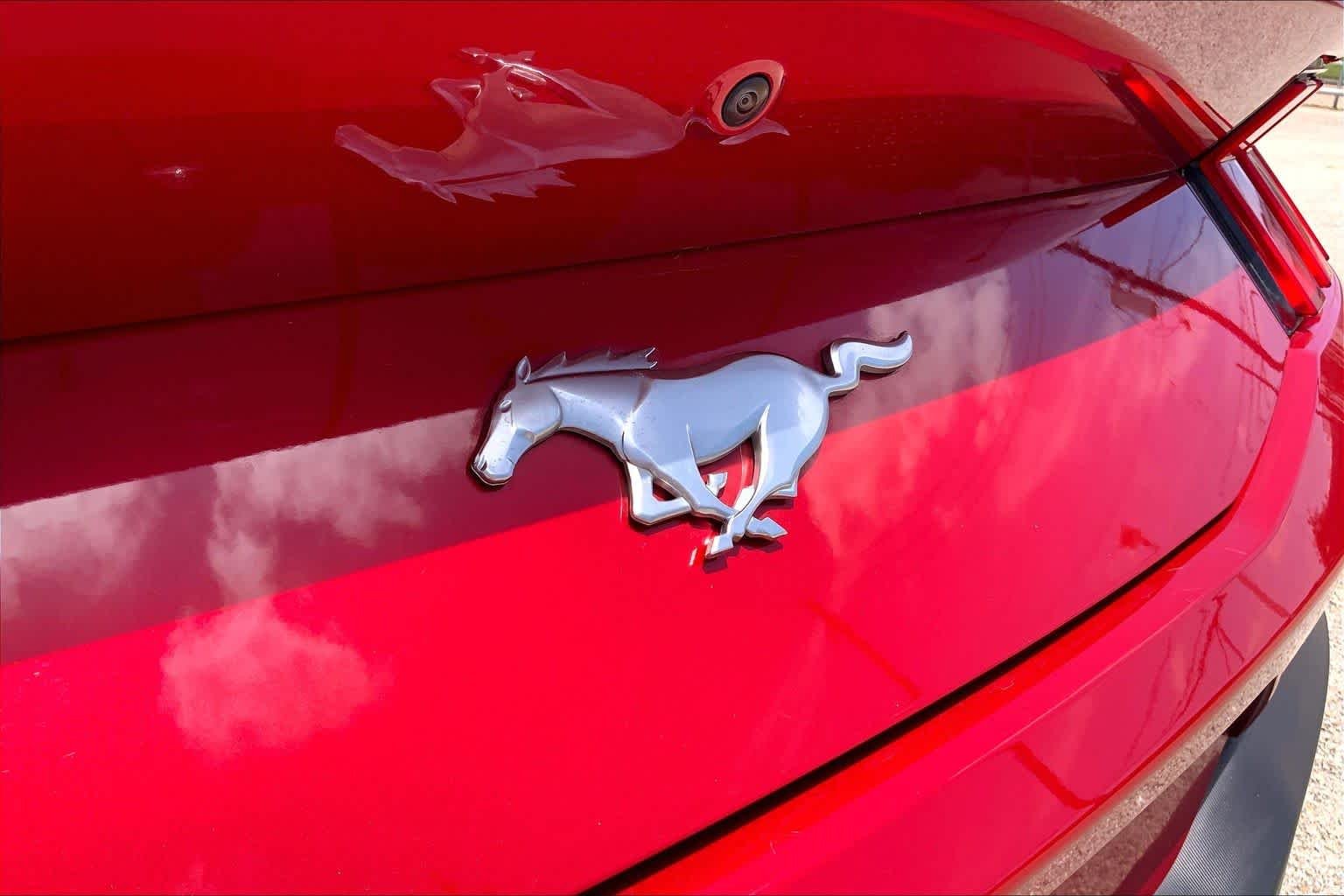 Used 2024 Rapid Red Metallic Tinted Clearcoat Ford EcoBoost Premium image 30