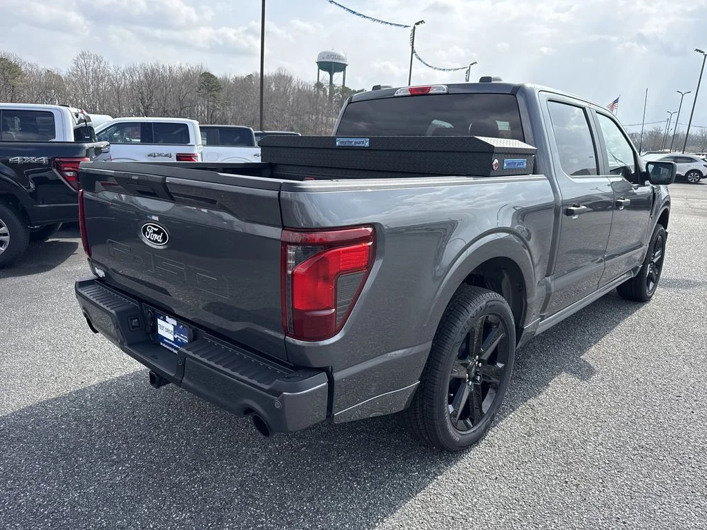 New 2026 Gray Ford STX image 7