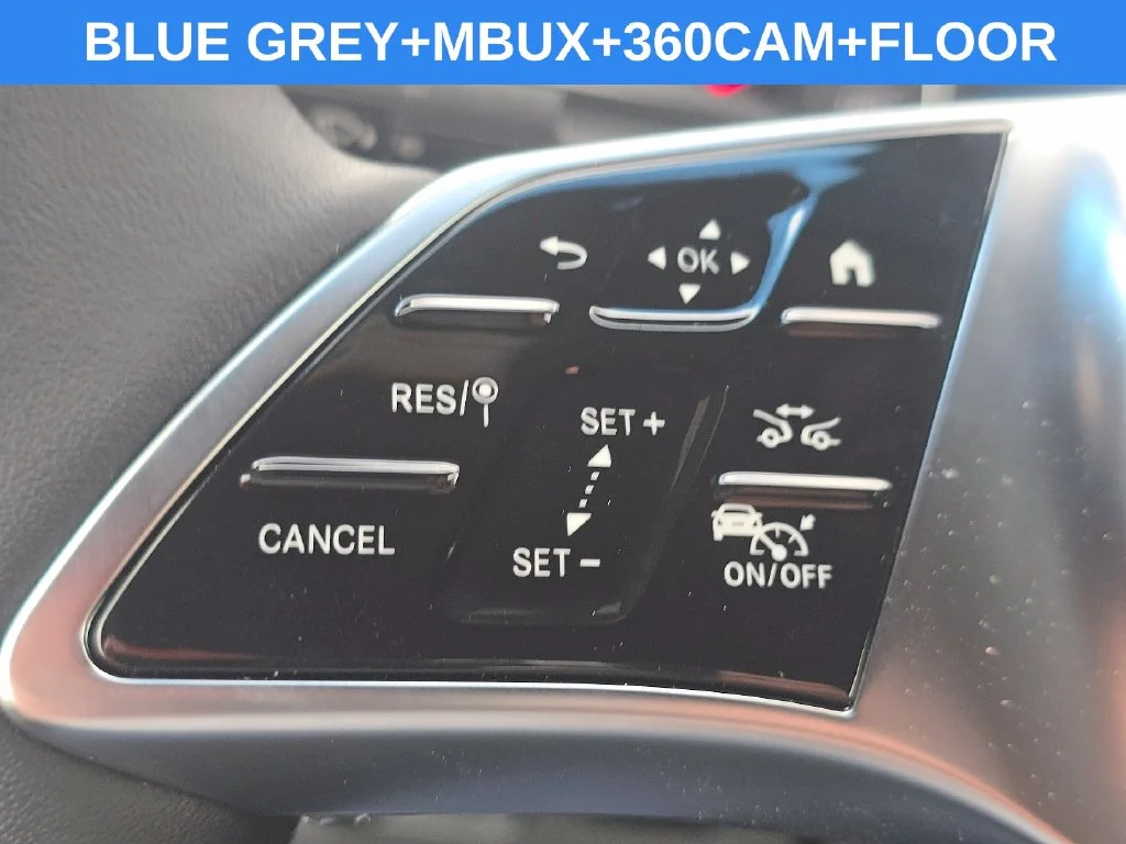 New 2026 Blue Grey Mercedes-Benz Cargo 170 WB image 28