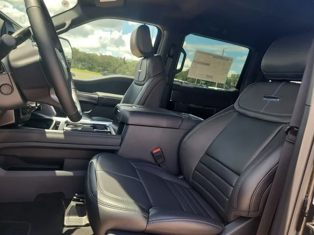 New 2026 Black Metallic Ford Platinum image 20